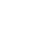 Logo_DS_white