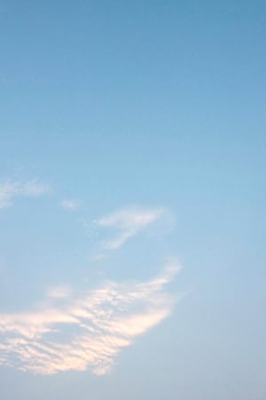 pexels-hngstrm-2344227