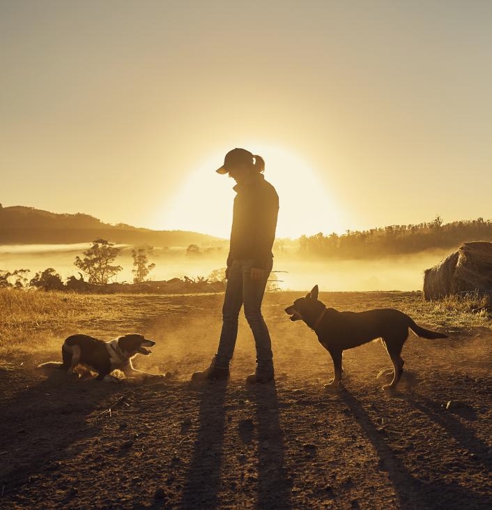 GettyImages-832988302 1 GettyImages-832988302 1